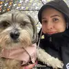 amanda david - @amanda.david06 - TikTok