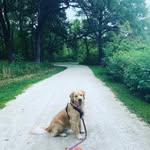 Amanda Peterson Deans - @momofthemurph - Instagram