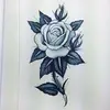 Amanda Dearborn - @mandy.1421 - TikTok