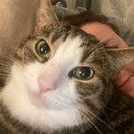 Amanda Dearden Royle - @amandadeardenroyle - Instagram