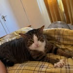 Amanda Dearden Royle - @royle5147 - Instagram