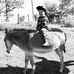 Amanda Dearmin - Facebook