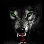 @amanda.deaver9799 - Instagram