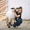 Amanda Deeds - @amanda.deeds - TikTok