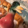 amandadeer286 - @amandadeer286 - TikTok