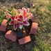 Amanda DeFrance - Facebook