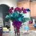Amanda Degeyter - Facebook
