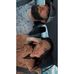 Amanda DeGraff - Facebook