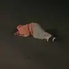 amanda - @amanda.degrofff - TikTok