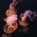 Amanda DeGroff - Facebook