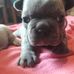 Amanda Degroot - Facebook
