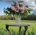 Amanda DeHaven Bryan - Facebook