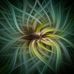 Amanda De Hoog - Facebook