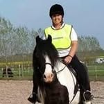Amanda Dempsey - @dempsey5230 - Instagram