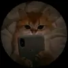 Amanda - @amandadettmann1314 - TikTok