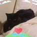 Amanda DeVries - Facebook