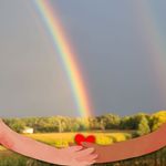 Amanda DeVries - @amanda.devries.908 - Instagram