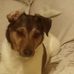 Amanda Diane - Facebook