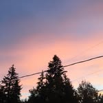 @amandadillinger2 - Instagram