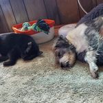 Amanda Brackin - @amanda.dinsmore.12 - Instagram