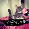 Amanda Dodge - @adodge.chicago - TikTok