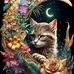 Amanda Donahue - Facebook