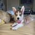 Amanda Doris - Facebook