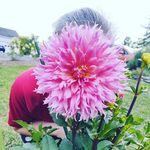 Amanda Dorsey - @amandaelise83 - Instagram