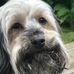 Amanda Dorsey - Facebook