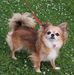 Amanda Dosch - Facebook
