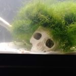 Amanda Downer - @downer8532 - Instagram