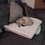 Amanda Downie - Facebook