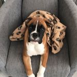 Amanda Dransfield - @dransfieldamanda - Instagram