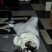 Amanda Dufresne - Facebook
