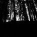 Amanda Dufresne - Facebook