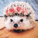 Amanda - @mandy.duryea - Instagram