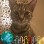 Amanda Dutcher - @lokilee222 - Instagram