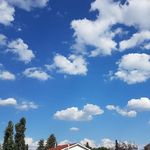 Amanda Dyck - @adyck53 - Instagram