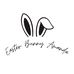 Easter Bunny Amanda - Facebook