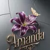 Amanda Earle - @amanda.earle7 - TikTok
