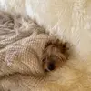 AmandaEast - @amanda3east - TikTok