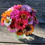 Amanda Eastman - @aeastmanphotography - Instagram