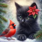 Amanda Ebbings - Facebook