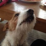 Amanda Eccles - @a.eccles - Instagram