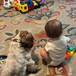 Amanda Eddings - @aeddings0625 - Instagram