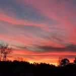 Amanda Eddings Biddle - @manderfroggy - Instagram
