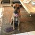 Mandy Edelstein - Facebook