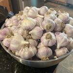 Amanda Eder - @hdr_garlic - Instagram