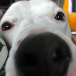 Amanda Eder - @stuck_with_new_name - Instagram