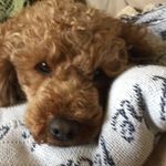 Amanda Edgington - @edgingtonamanda - Instagram